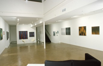 Ben Grady Gallery - installation 2001